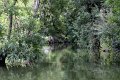 (18) Le Marais Poitevin